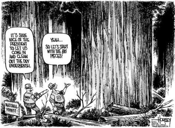 David Horsey/The Seattle Post-Intelligencer - August 19, 2002