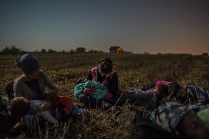 August 31, 2015. Members of the Majid family sleep with their children in their arms in a wheat field as they wait to cross the barbed wire fence at Horgos, Serbia, into Hungary (Mauricio Lima, The New York Times - August 31, 2015).